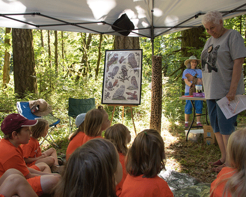 Girl Scout camp