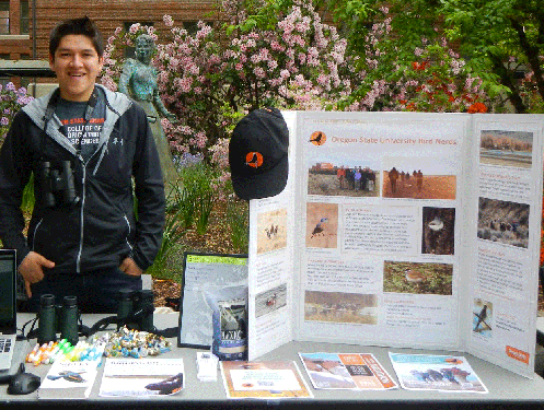 Bird Nerds display