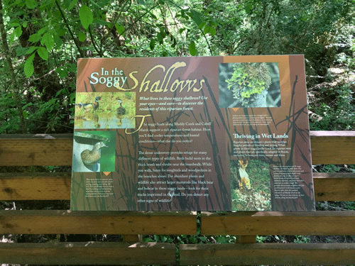 interpretive sign