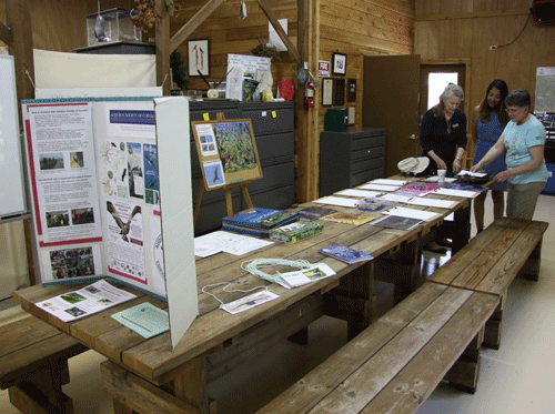 Hesthavn exhibits