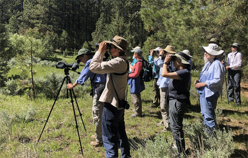 birding trip