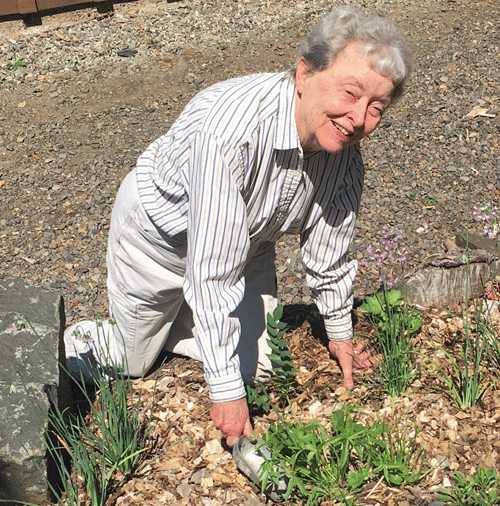 tending native garden