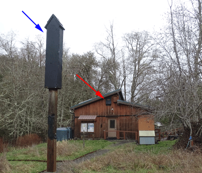 Hesthavn Bat Boxes