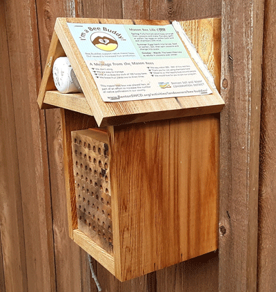 Bee Buddy Nest box