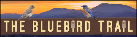 bluebird exhibit banner