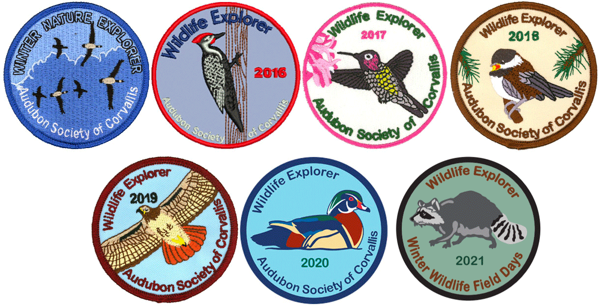 WWFD reward patches 2015-2021 