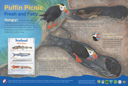 puffin picnic