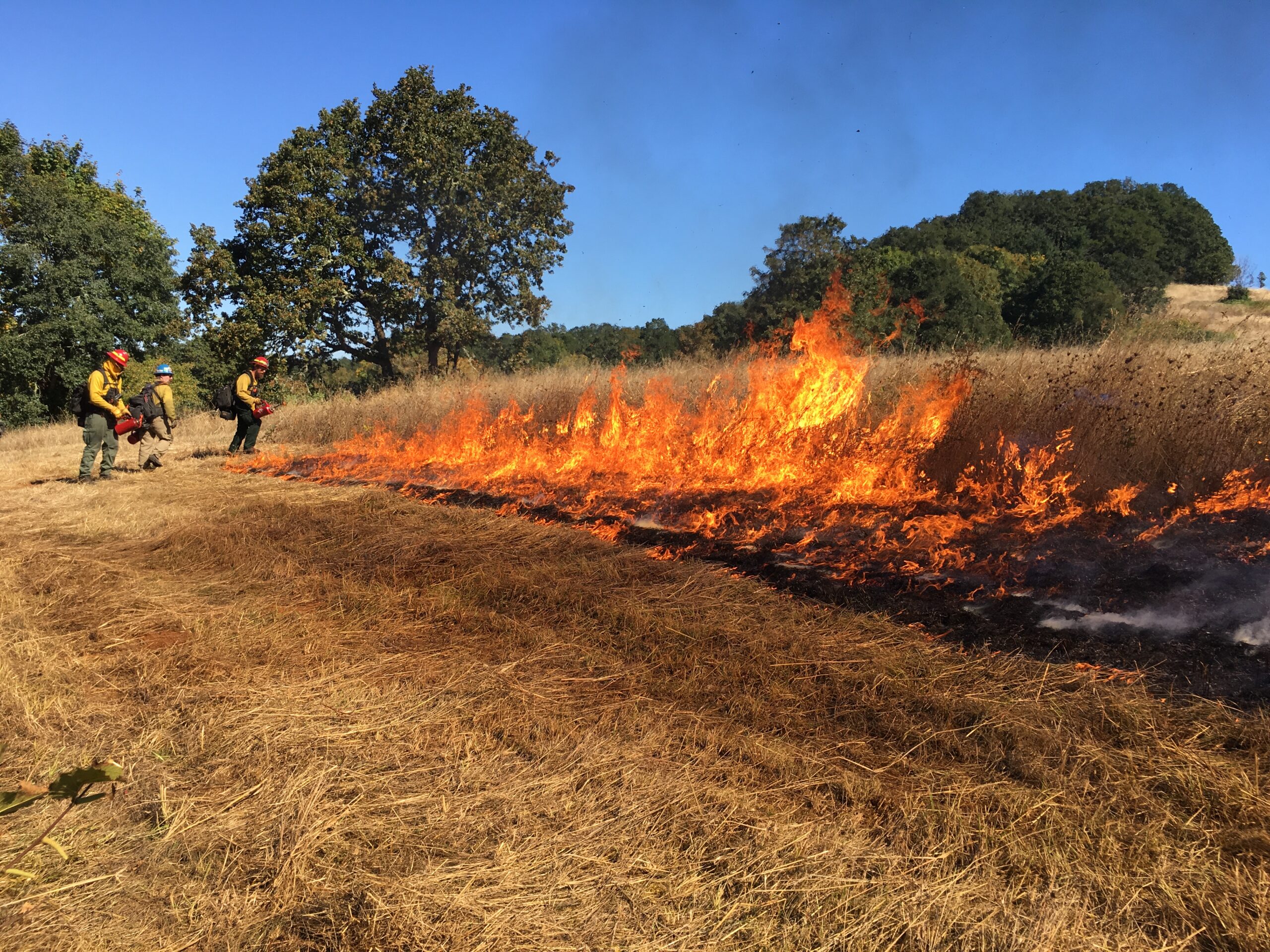 controlled burn at Finley NWR