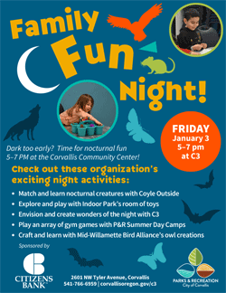 Family Fun Night flyer English - thumb