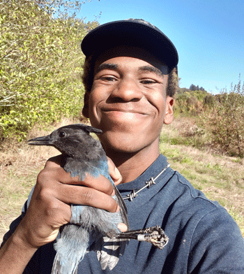 Jayshaun Talbert with Steller's Jay