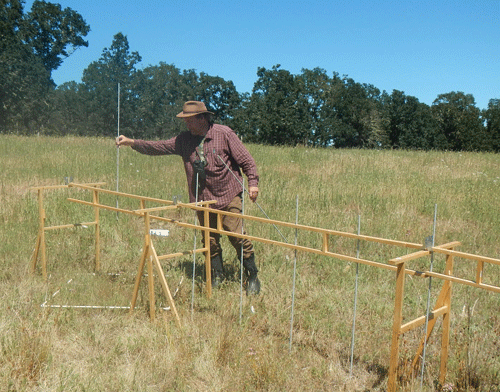 Field work near Vesper Sparrow nest